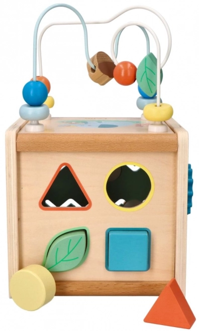 Activity Cube with Motor Loop