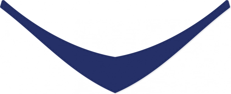 Stilen dodatek v temno modri