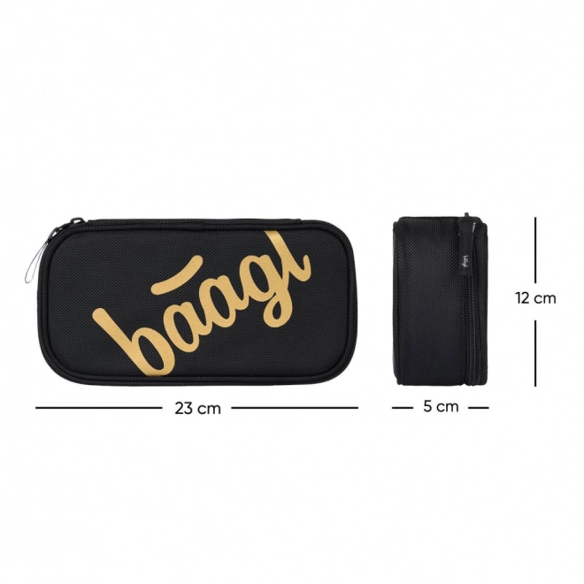 School Pen Case Skate Gold