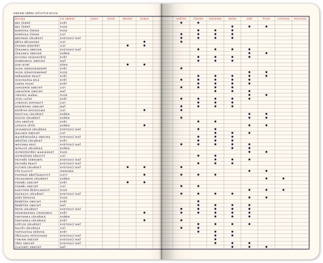 Fun Calendar by Kateřina Winterová 2025