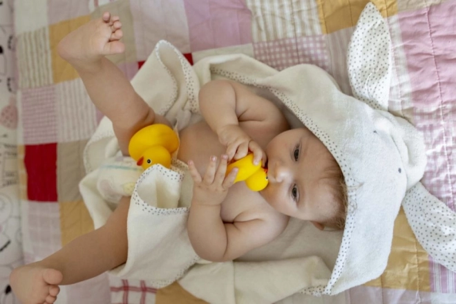 Duck Family Bath Toys