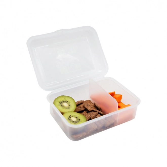 Premium Dinosaur Lunch Box with Compartment