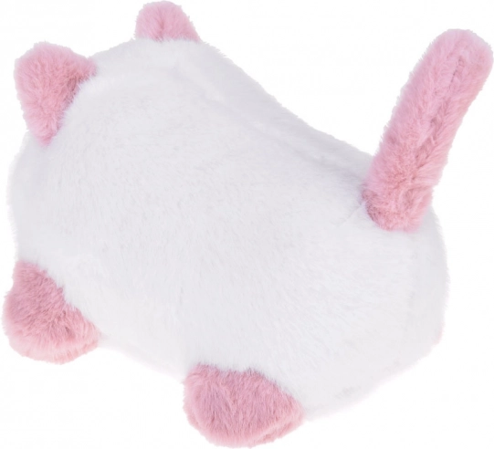 Interactive Cat Pusia