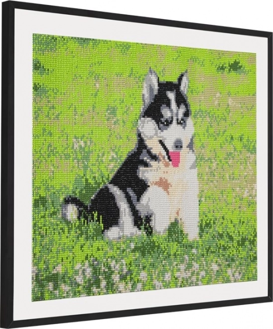 Diamond Painting Husky 40x50cm