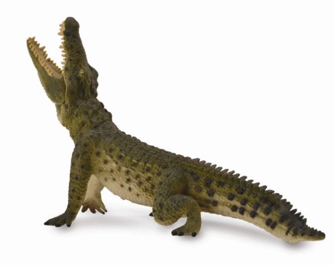 Collecta Nile Crocodile Figure