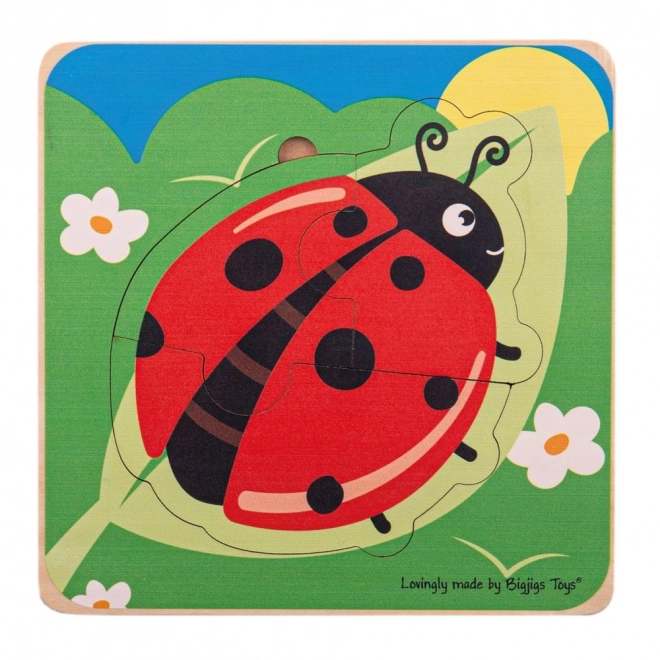 Layered Life Cycle Puzzles Ladybug by Bigjigs Toys