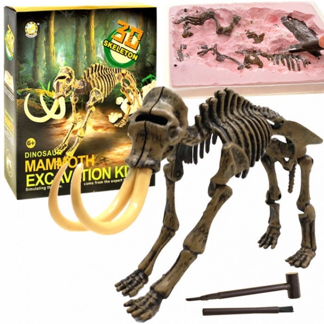 Mammoth Skeleton Excavation Kit – B