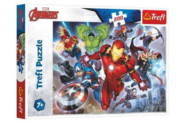 Brave Avengers Puzzle