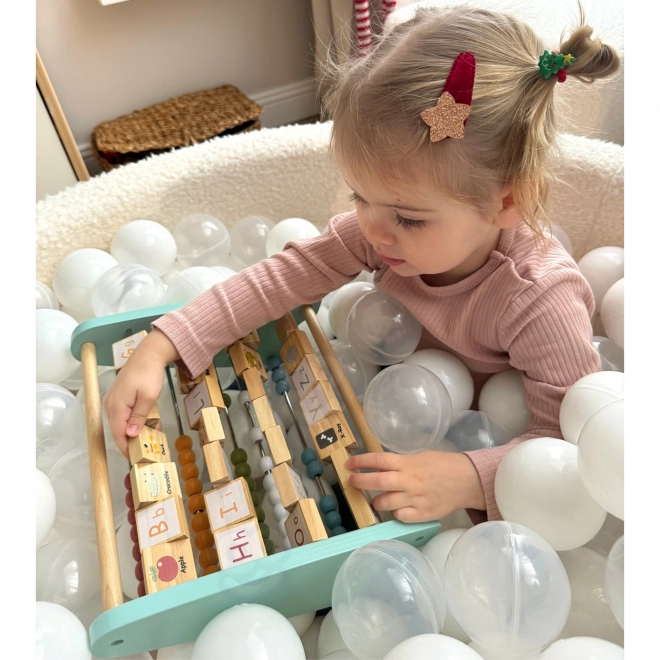 Contatore educativo in legno e alfabeto Tooky Toy