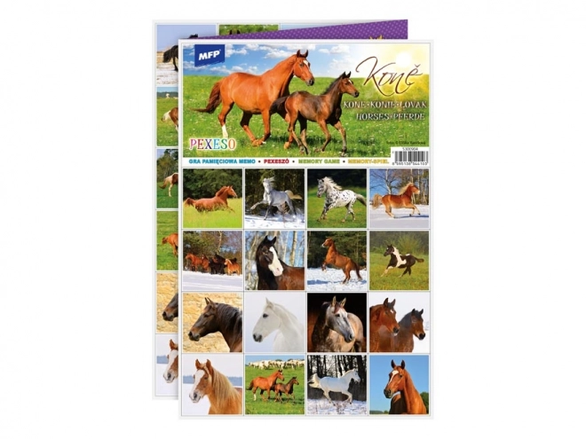 Memory Game Horses