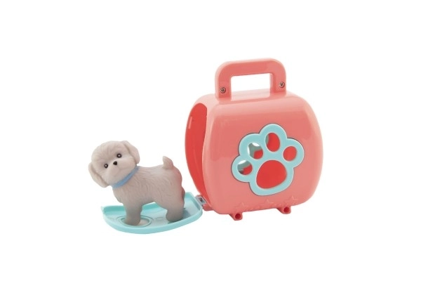 Pet Transport Box with Figure