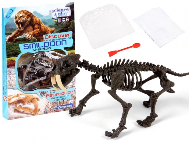 Build a Saber-toothed Tiger Skeleton Kit