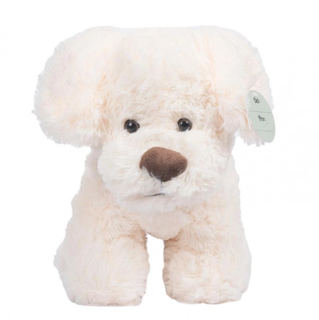 Cream Stuffed Dog 30 cm