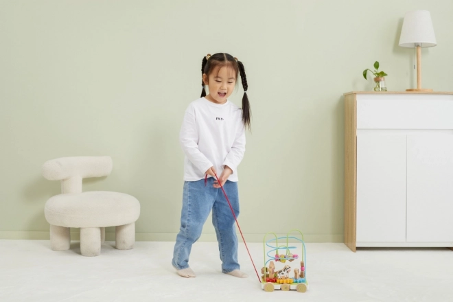 Wooden Pull-Along Maze Toy