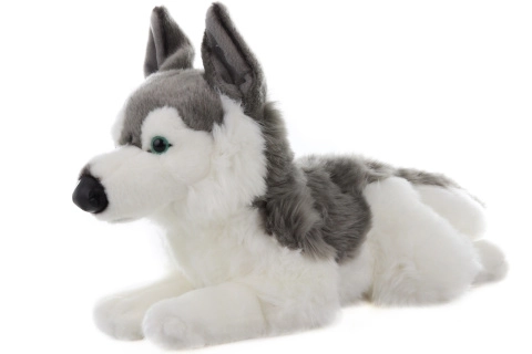 Plush Husky Dog Toy