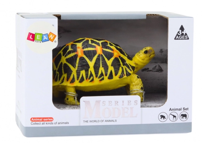 Turtle Collector's Figurine