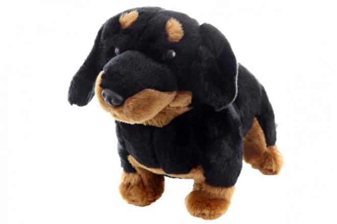 Eco-friendly Plush Dachshund