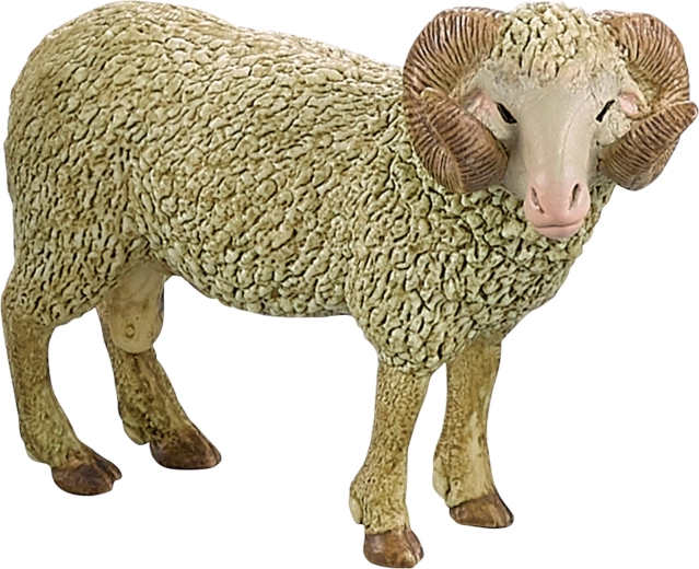 Részletesen kidolgozott kos