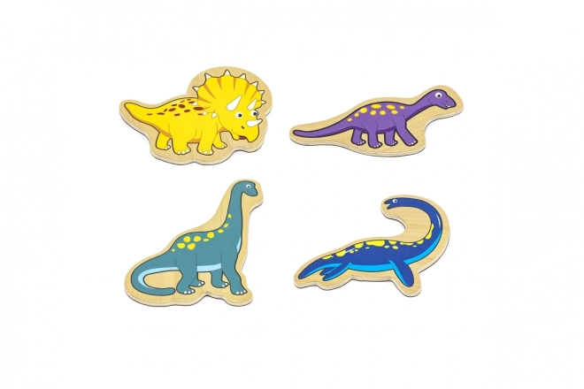 Wooden Dinosaur Magnets Set