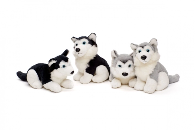 Plush Husky Toy