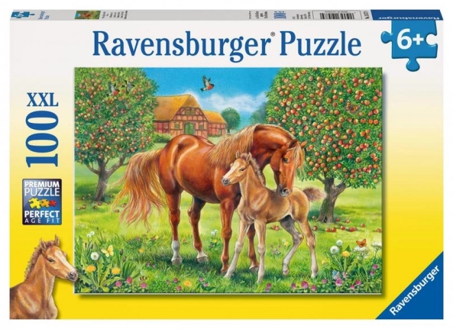 Ravensburger Horses in the Meadow XXL Puzzle 100 Pieces