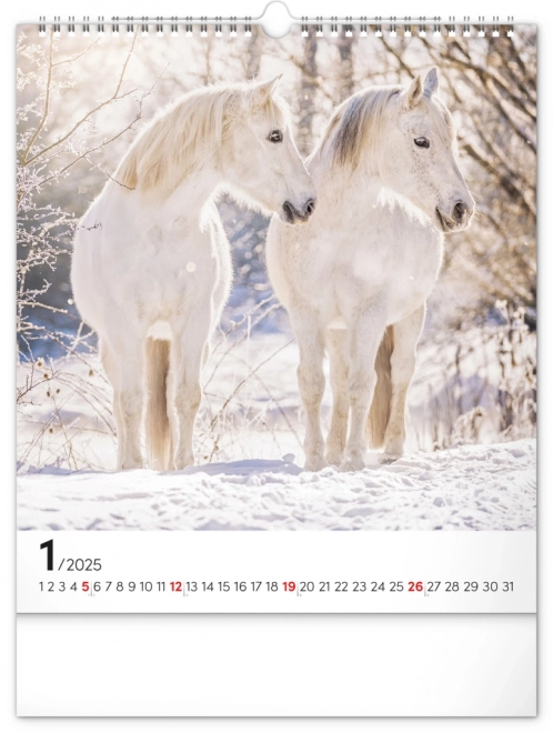 Wall Calendar Horses 2025