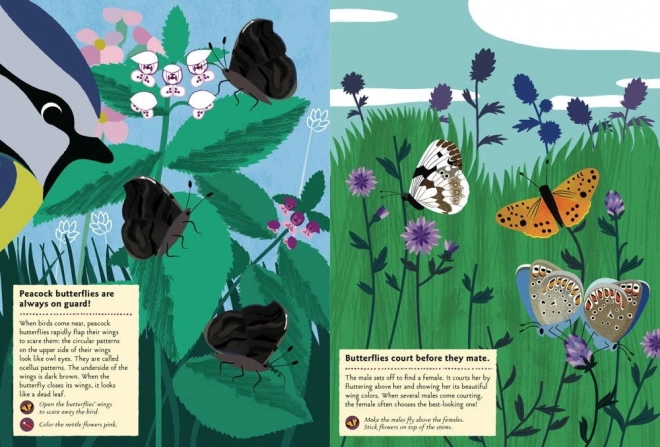 My Nature Activity Book with Stickers - Butterflies of the World