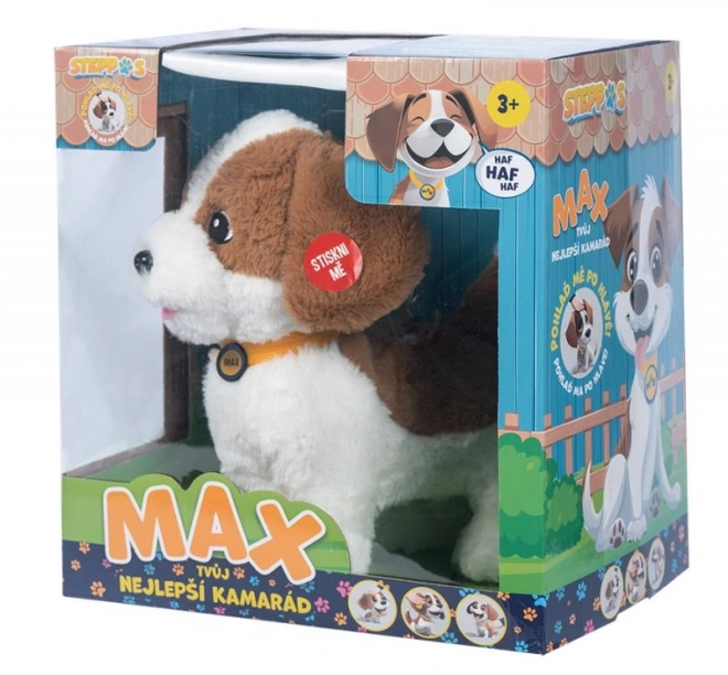 Interactive Pet Max