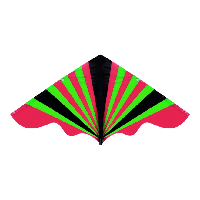 Colorful Flying Kite