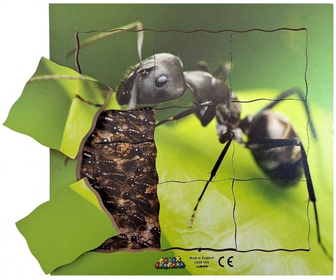 Just Jigsaws Ant and Its Lifecycle Wooden Layered Puzzle