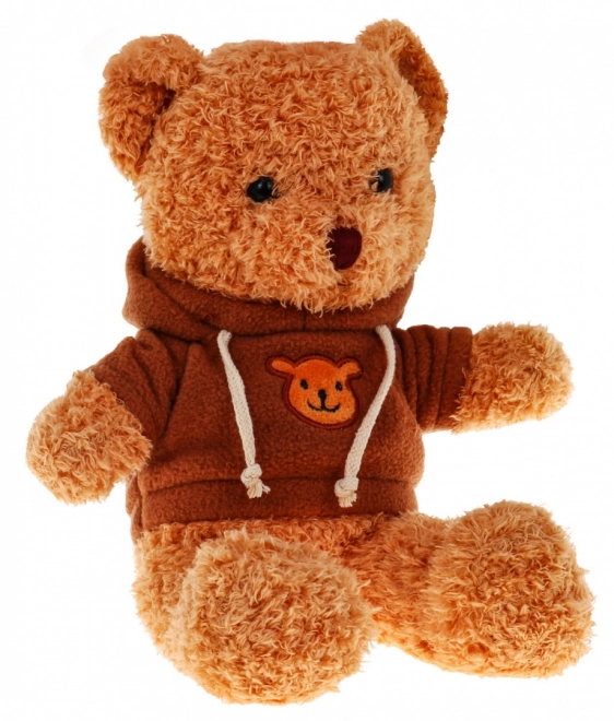 Plush Bear in Hoodie for Kids 3+