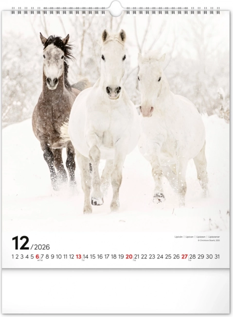 Vægkalender Heste 2026
