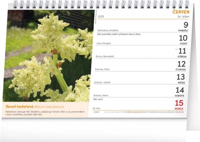 Nature Pharmacy Desk Calendar 2025