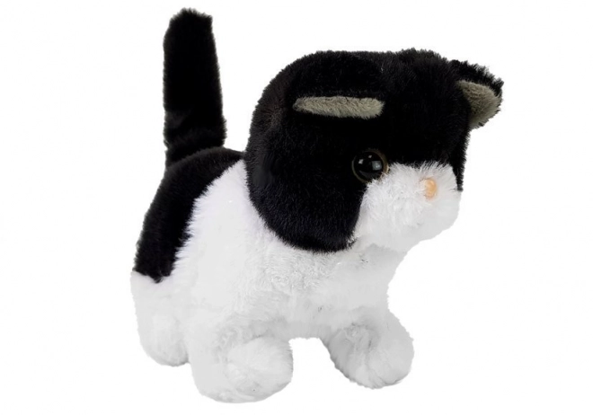 Interactive Walking Black and White Toy Cat