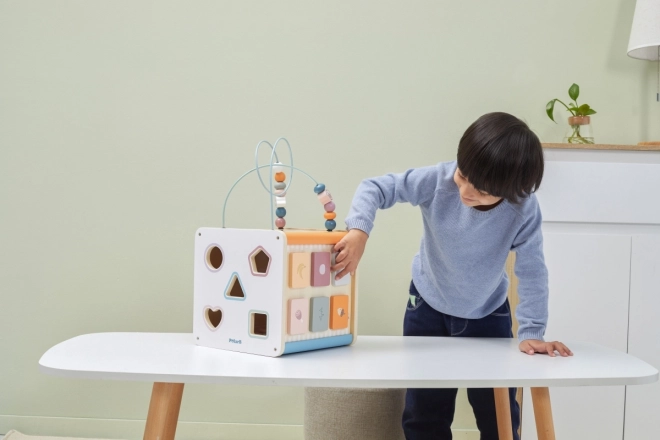 8-in-1 Wooden Activity Cube