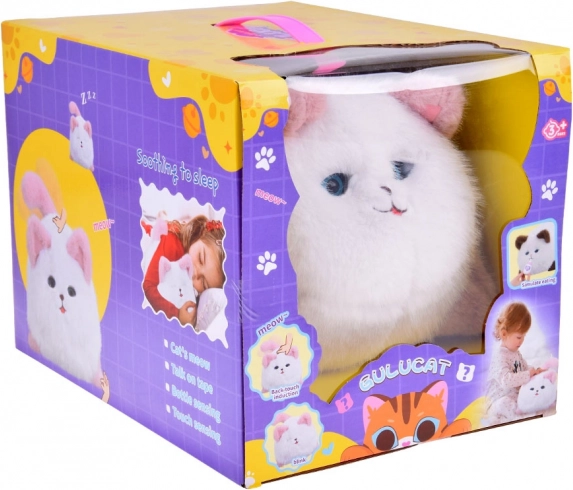 Interactive Cat Pusia