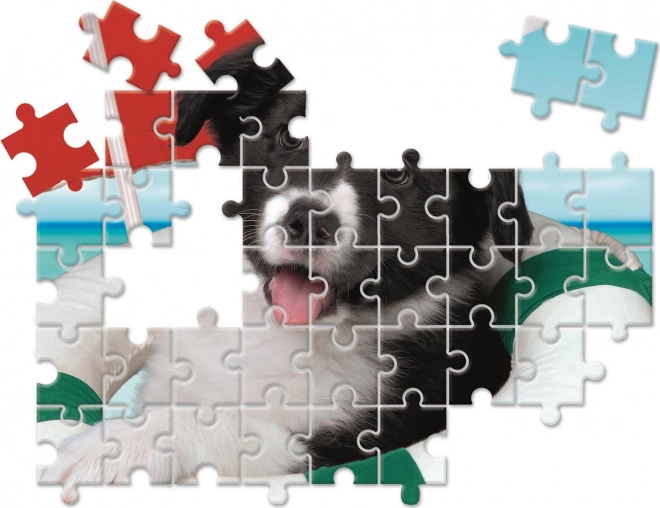 Clementoni Animal Friends Puzzle Set