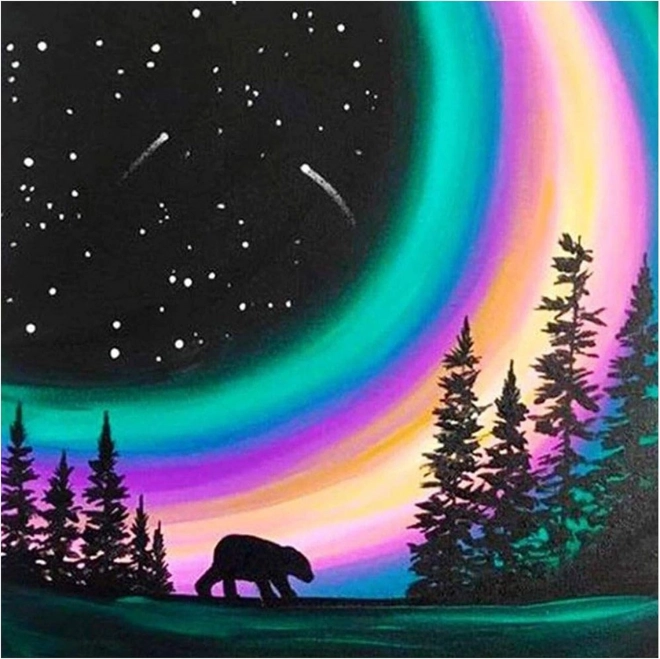 Diamond Painting Polar Night 30x40cm