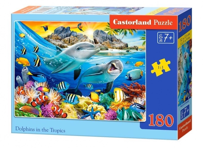 Colorful Dolphin Adventure Puzzle for Kids