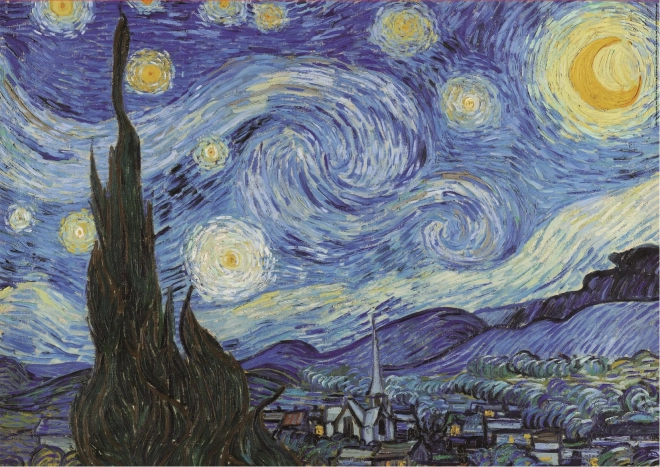 EDUCA puzzle Starry Night 1000 pieces