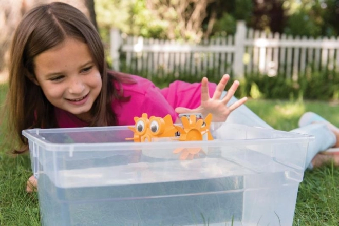 Solar-Powered Water Robot