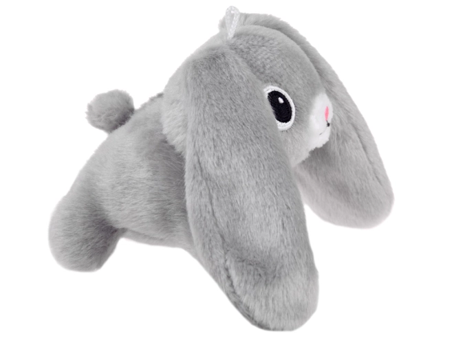 Cute bunny