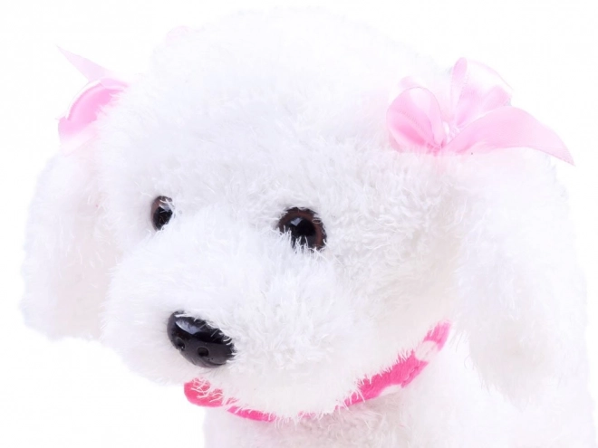 Interactive Plush Puppy – C