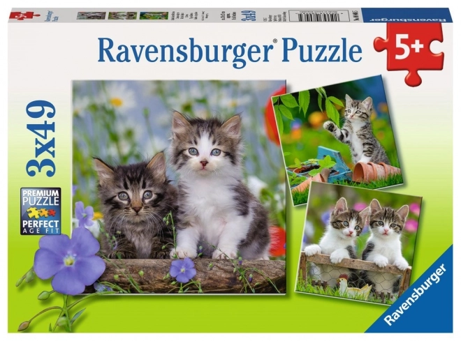 Ravensburger Puzzle Kittens Set