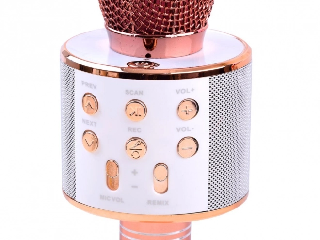 Wireless Karaoke Microphone Speaker – pink