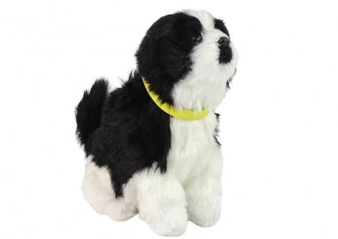 Interactive Plush Border Collie Puppy