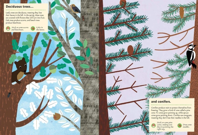 Nature Activity Sticker Book - In the Forest