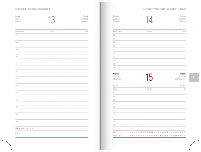 Daily Planner Aprint Neo 2025 Pink