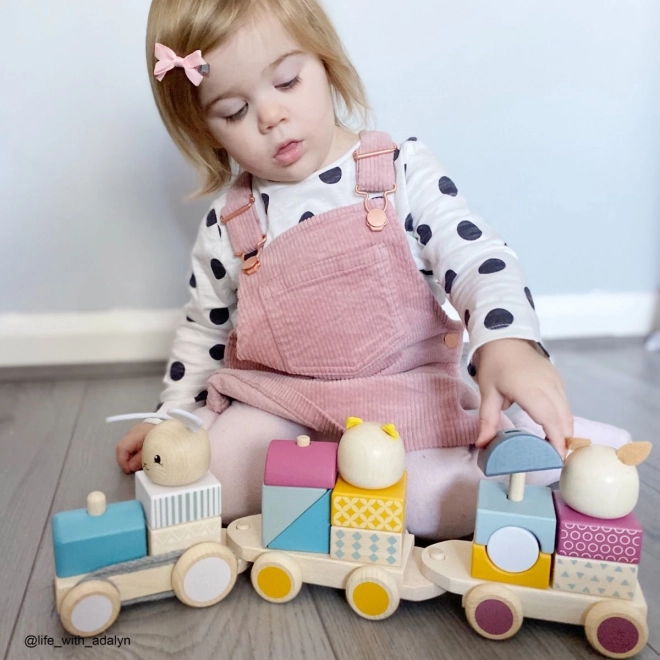 Bigjigs Baby Wooden Animal Train