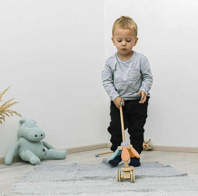 Wooden Push Toy Dinosaur in Blue